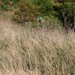 Img 16-072018