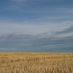 Img 14-037005