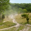 Img 14-019036