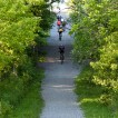 Img 14-005073