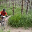 Img 14-017033